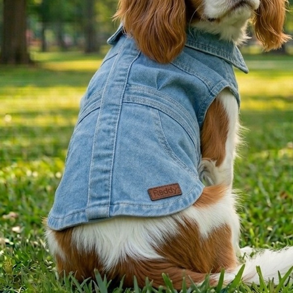 Reddy Blue Denim Dog Dress Large NWT Recycled Material Collared Blue Jean